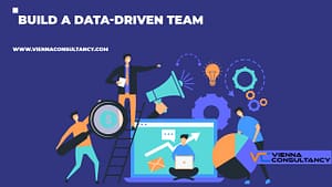 Build a Data-Driven Team with Vienna Consultancy