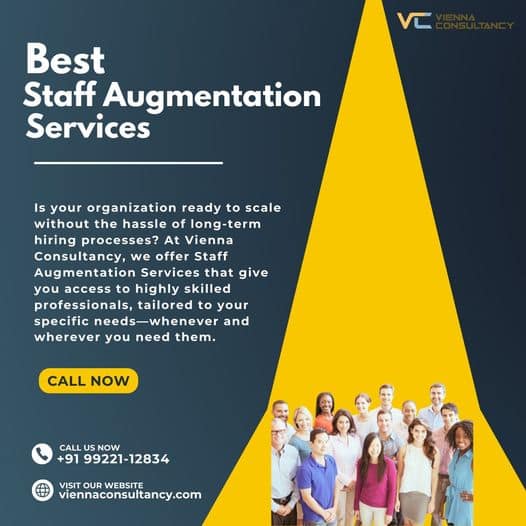 Team collaboration boosted by Vienna Consultancy's expert staff augmentation services