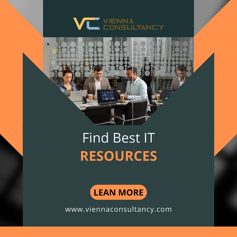 Elevate your IT game with Vienna Consultancy's IT Resources services
